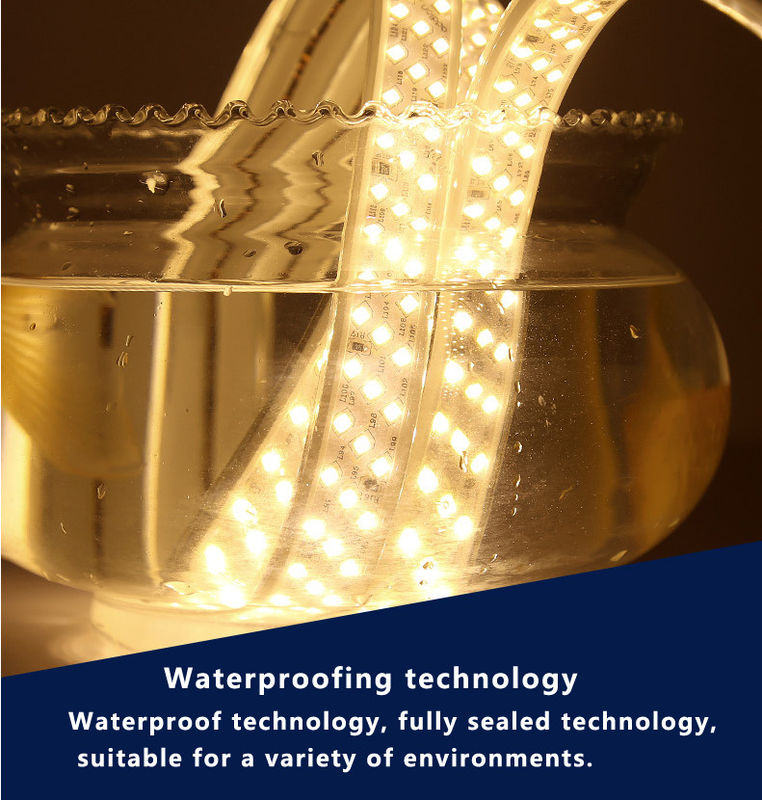 110v 220v SMD 5050 Monocolore RGB Led Strip Light 50m/roll 100m/roll Peso del prodotto kg 4